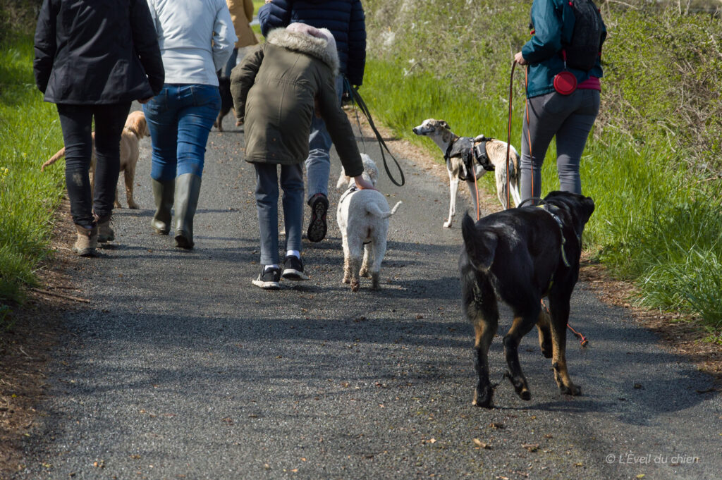 balade collective et sociale dans le beaujolais